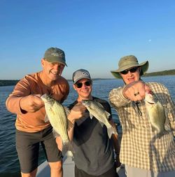 3 white bass and striped bass caught while fishing in Wagoner