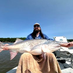 One angler fishing in OK