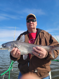 Majestic blue catfish caught in OK