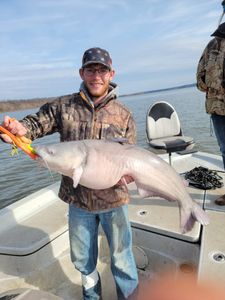 Blue catfish caught while fishing in OK