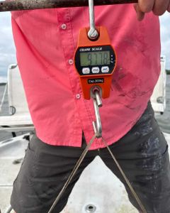 Fishing in OK