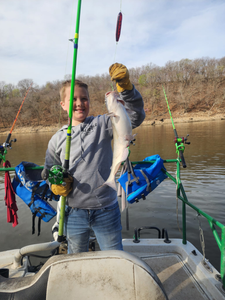 Hardhead Sea Catfish caught fishing in OK