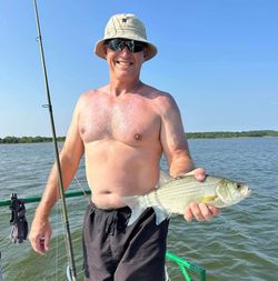 A lone white bass, 15 inches, caught in Wagoner
