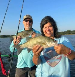 Image of a 24-inch white bass caught while fishing in Wagoner