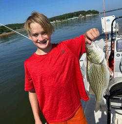 Wiper (Hybrid striped bass) fish caught in OK
