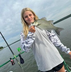 Wiper (Hybrid striped bass) fish caught in OK