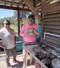 Two people fishing for a black drum in Florida