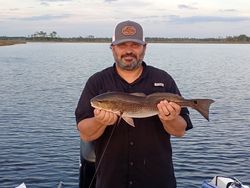 Redfish caught while fishing in St Marks