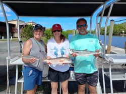 Two redfish and Spanish mackerel caught by three people in St Marks