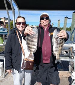 Two sheepshead fish caught while fishing in FL