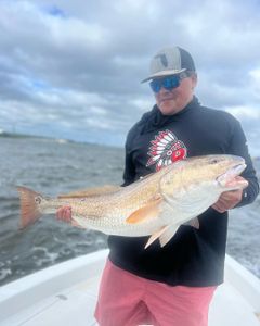 Distinctive Red Drum Fish