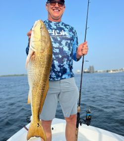 Vibrant Red Fish Species