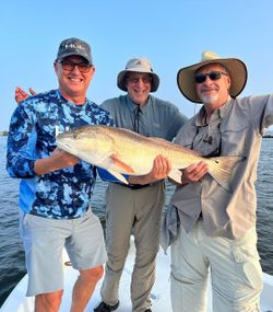 Thrilling Red Fish Florida Trophy