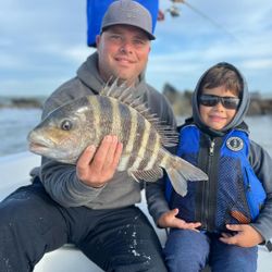 Seeking Sheepshead Fish in Florida