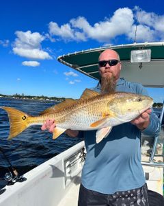 Catching Redfish in Florida