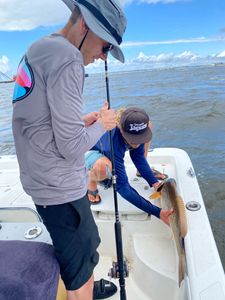 Alligator gar fishing in FL