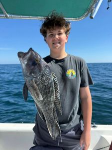 A solo angler catching a sea bass in FL