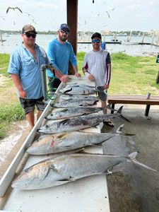 Four horse-eye jack and king mackerel fish caught in FL, 66 inches long