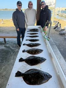 Four fish caught while fishing in FL