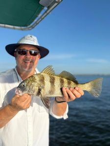 A person fishing for a black drum in Jacksonville