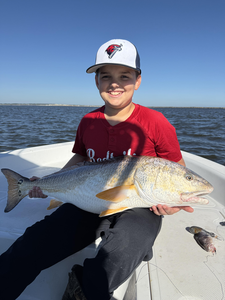 Nice catch using deep sea light tackle! Clearing afternoon made for perfect fishing conditions.
