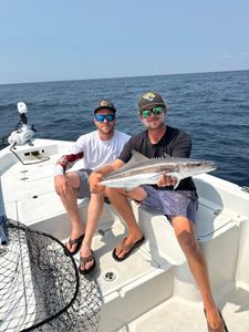 Cobia fish caught in FL