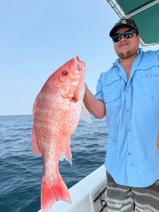 Fisherman holding large fish in Florida