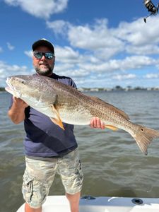 Redfish caught while fishing in Jacksonville