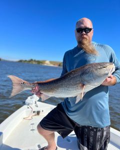 Redfish caught in Jacksonville