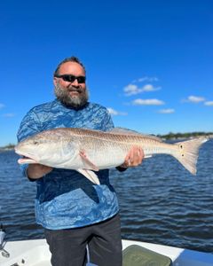 Redfish caught fishing in Jacksonville