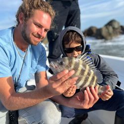 A sheepshead fish caught in Florida during a fishing trip