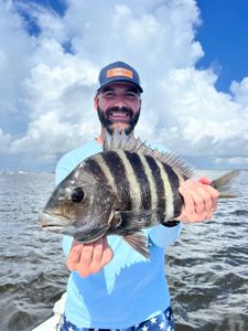 Sheepshead fish caught while fishing in Jacksonville