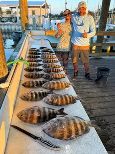5 sheepshead fish caught during a fishing trip in Jacksonville
