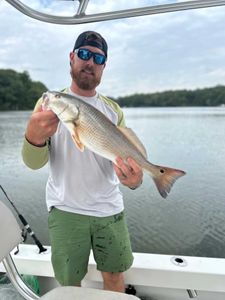 Fish-Species
