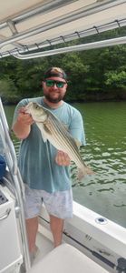 Fish-Species