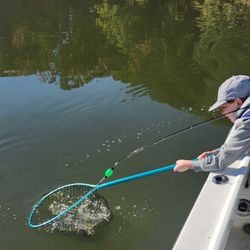 Fish-Species