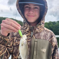 A single Atlantic Croaker fish caught in Reedville