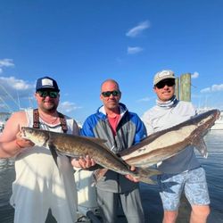 Two big fish caught in VA on a cruises, fishing trip