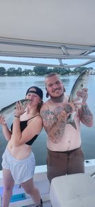 Two Bluefish caught on a fishing cruises in Reedville