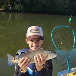 Fish-Species