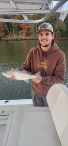 Fish-Species