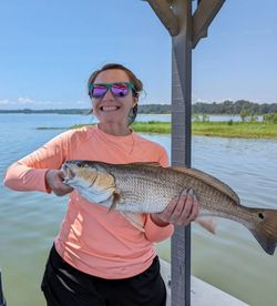 Redfish caught in Reedville, Virginia during cruises and fishing