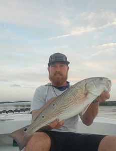 Redfish caught by angler in VA