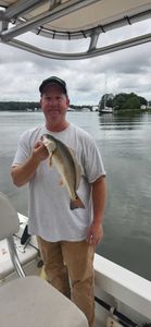 Redfish caught in VA