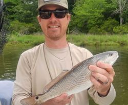 A single redfish, caught in VA.