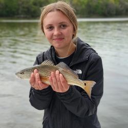 Redfish, 12 inches, caught in Reedville
