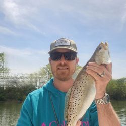 Spotted Weakfish caught on a cruises and fishing trip in VA