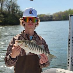Striped bass fishing in VA