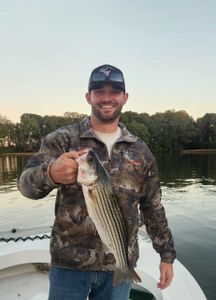 Striped bass caught in VA