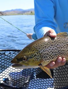 Outdoor activities in New York State